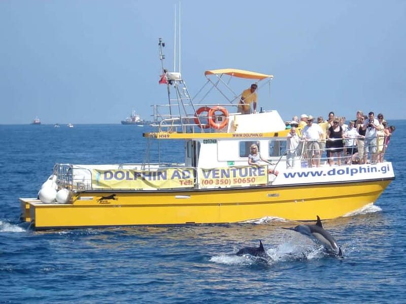 Gibraltar: Dolphin Watching Tour - The 75-minute cruise: how the dolphin action plays out