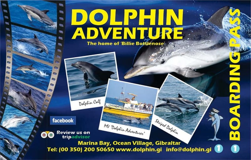 Gibraltar: Dolphin Watching Tour - The view payoff: African and European coastlines plus Pillars of Hercules