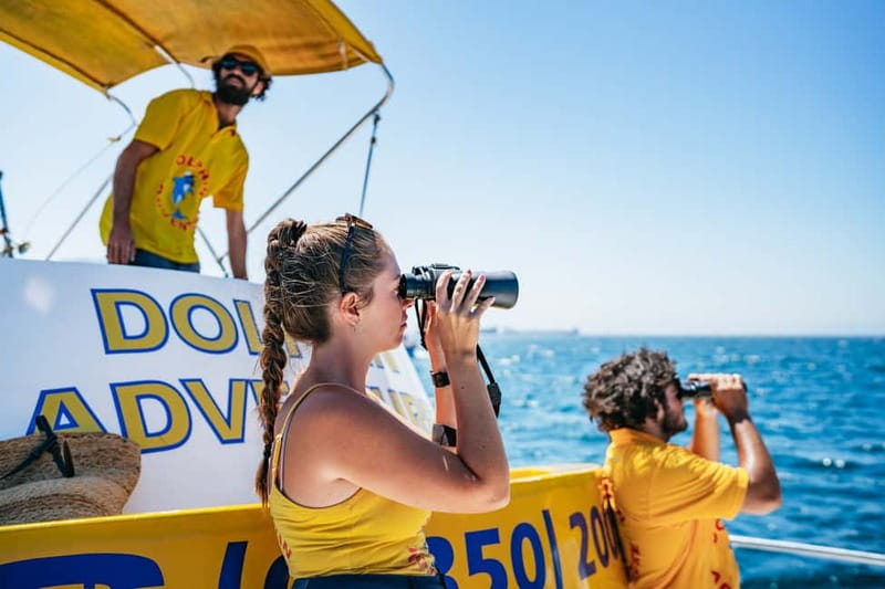 Gibraltar: Dolphin Watching Tour - Price and value: is $37 a good deal here?