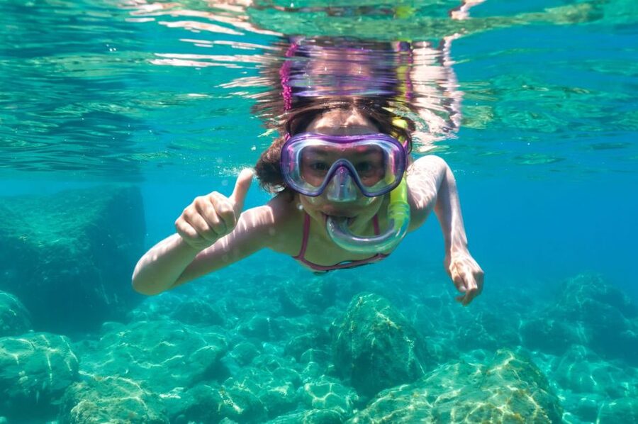 Golfo Aranci: Dolphin Watching and Snorkeling Boat Tour - Golfo Aranci to Figarolo: the dolphin route that actually makes sense
