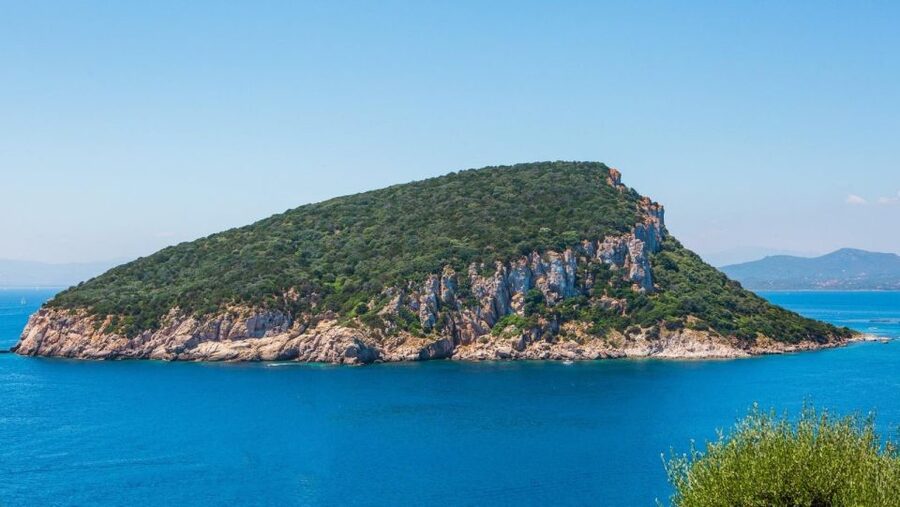 Golfo Aranci: Dolphin Watching and Snorkeling Boat Tour - The snorkeling stops: Cala Greca, Cala Moresca, and Figarolo Island