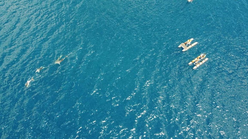 Golfo Aranci: Hydrobike Experience with Aperitif & Dolphins - Entering the Water on a Hydrobike: Stable, Safe, and Surprisingly Easy