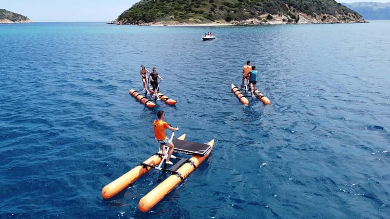 Golfo Aranci: Hydrobike Experience with Aperitif & Dolphins - Dolphins, But Make It Practical: How the Guides Help You Spot Them