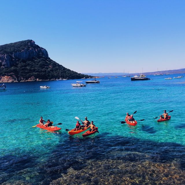 Golfo Aranci: Kayak Tour with Dolphins and Aperitif - Key highlights that make this tour worth it