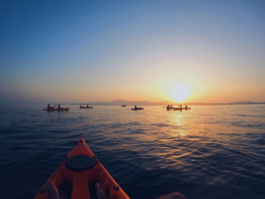 Golfo Aranci: Kayak Tour with Dolphins and Aperitif - The Fish Farm and Protected Dolphin Zone: How Dolphin Spotting Works Here