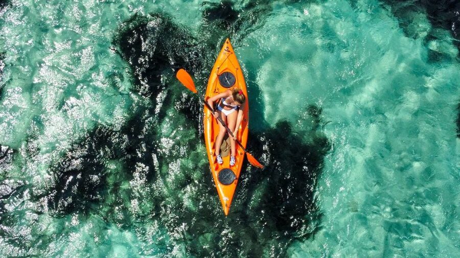 Golfo Aranci: Kayak Tour with Dolphins and Aperitif - Should You Book This Dolphin Kayak Tour from Golfo Aranci?