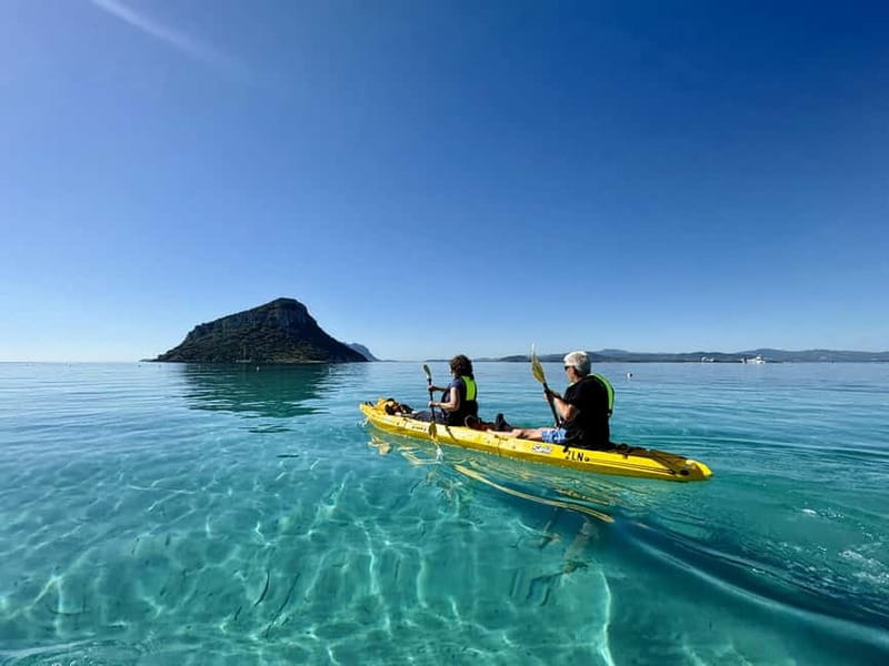 Golfo Aranci:Small group, german guided Kayak tour&Dolphins - Key things I’d plan around