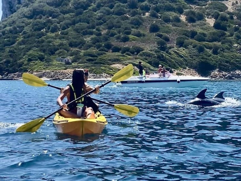 Golfo Aranci:Small group, german guided Kayak tour&Dolphins - Paddling to Cala Moresca: your first real time in the water