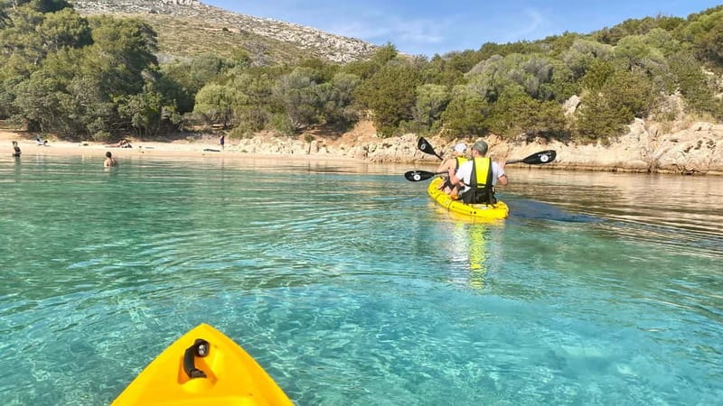 Golfo Aranci:Small group, german guided Kayak tour&Dolphins - Price and value: why $58 can make sense