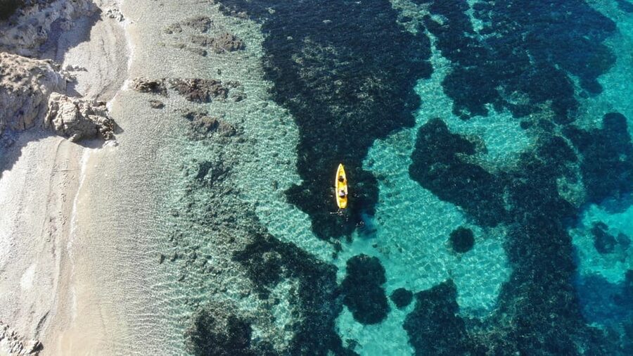Golfo Aranci: Small group Kayak tour with Aperitif &dolphins - Key things you should know
