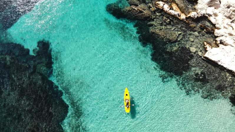 Golfo Aranci: Small group Kayak tour with Aperitif &dolphins - Where Golfo Aranci Makes Kayaking Feel Like the Right Move