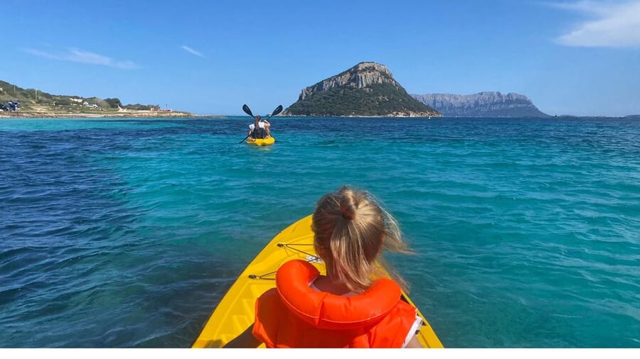 Golfo Aranci: Small group Kayak tour with Aperitif &dolphins - Price and Value: Is $58 for 3 Hours a Good Deal?