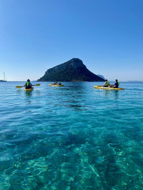 Golfo Aranci: Small group Kayak tour with Aperitif &dolphins - Small-Group Kayaking: Why Max 9 People Changes Everything