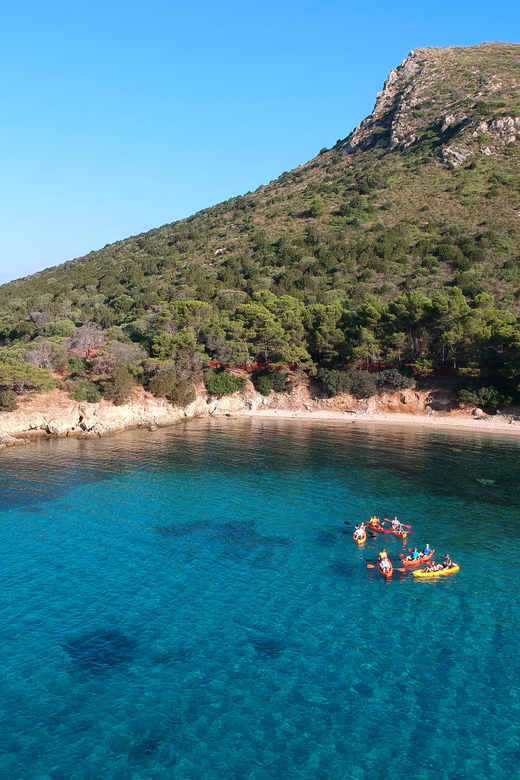 Golfo Aranci: Sunrise Dolphin Kayak Tour with Breakfast - Key Points Worth Knowing Before You Go