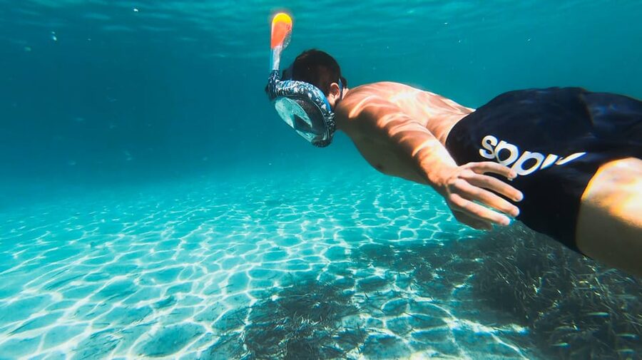 Golfo Aranci: Sunset Dolphin Kayak Tour with Aperitif - Sunset Dolphin Kayak Tour in Golfo Aranci: The real experience