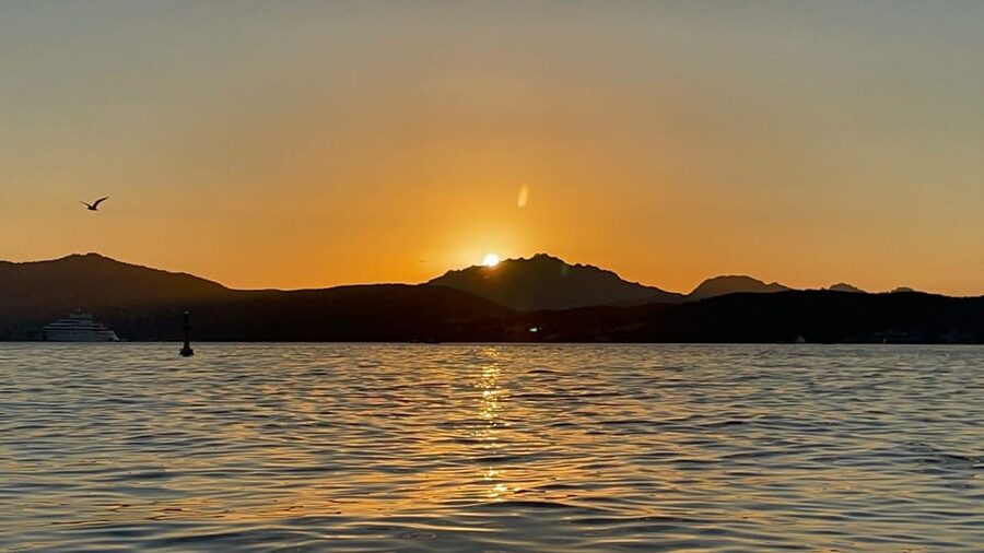 Golfo Aranci: Sunset Dolphin Kayak Tour with Aperitif - Who should book this sunset kayak and dolphin tour