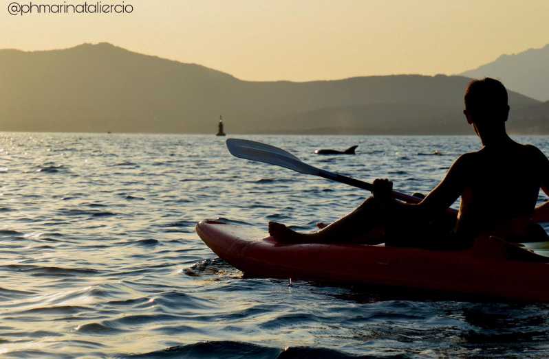 Golfo Aranci: Sunset Dolphin Kayak Tour with Aperitif - Kayak lesson, life vest, and the waterproof-bag habit