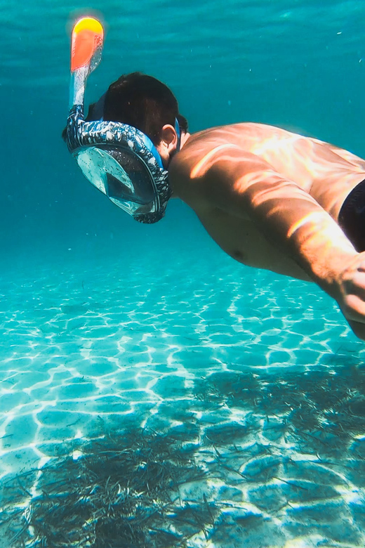 Golfo Aranci: Sunset Dolphin Kayak Tour with Aperitif - Snorkeling stop: what to expect above and below the surface