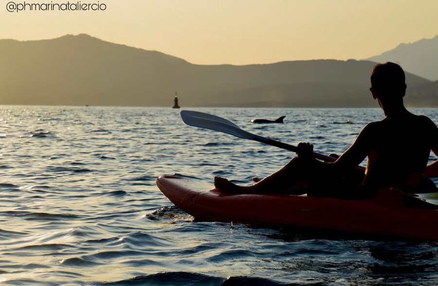 Golfo Aranci: Sunset Dolphin Kayak Tour with Aperitif - Dolphin watching at sunset: the part everyone remembers