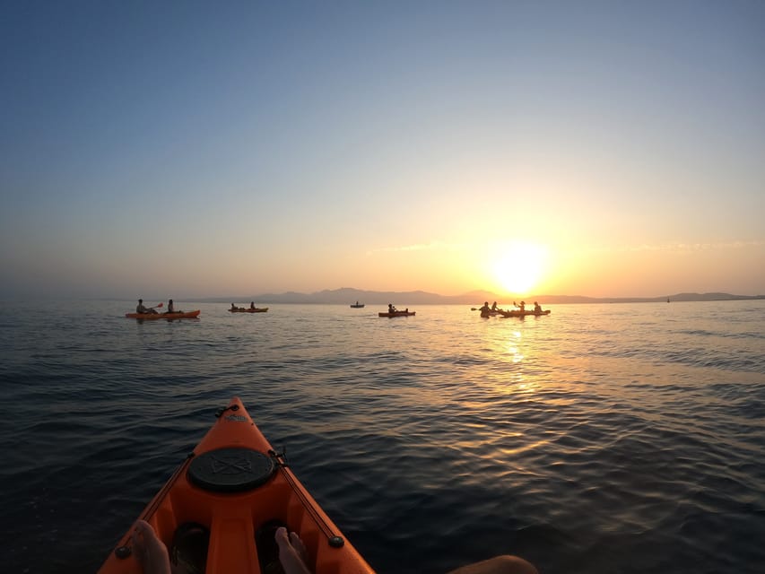 Golfo Aranci: Sunset Dolphin Kayak Tour with Aperitif - Price and value: is $65 for 2.5 hours a fair deal?