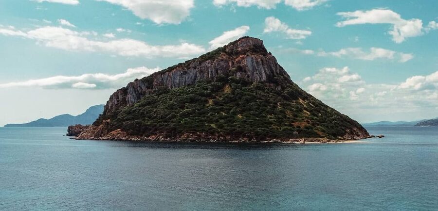 Golfo Aranci: Sunset Dolphin Kayak Tour with Aperitif - Practical considerations: languages, group dynamics, and weather