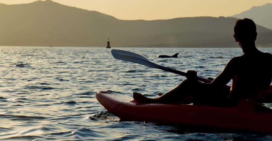 Golfo Aranci: Sunset Dolphin Kayak Tour with Aperitif - Paddling the coast: cliffs, coves, and grottos
