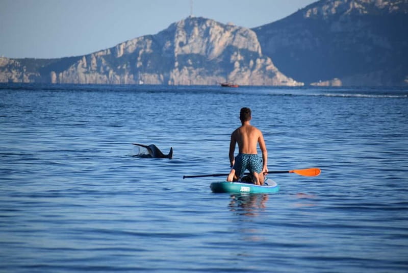 Golfo Aranci: Sup with dolphins, aperitif & photo shoot - The start at Spiaggia dei Baracconi: lesson, safety, and first balance