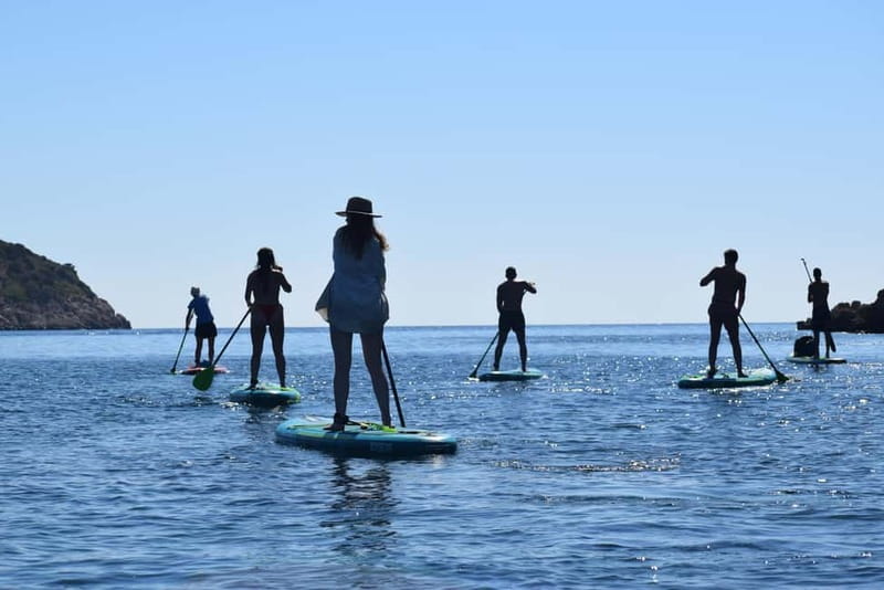 Golfo Aranci: Sup with dolphins, aperitif & photo shoot - Who this tour is best for