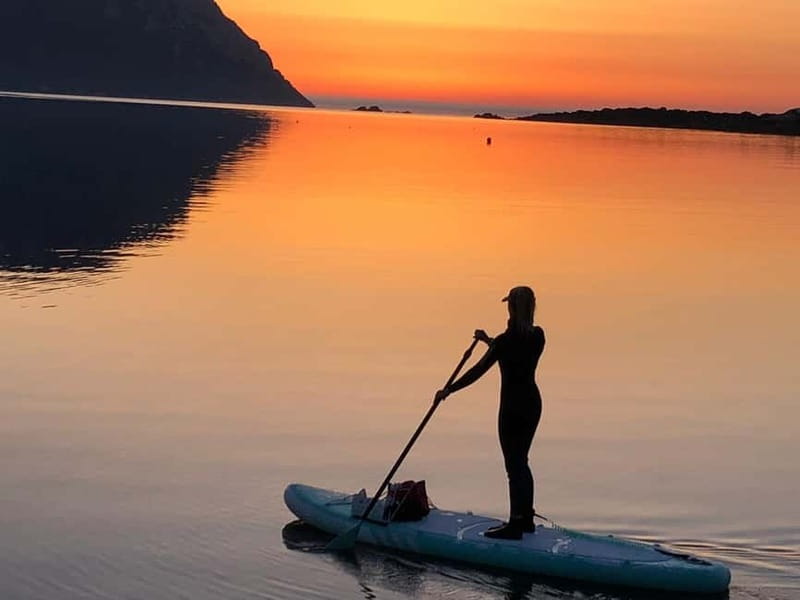 Golfo Aranci tour SUP Paddleboard Dolphin watching, aperitif - Should you book this Golfo Aranci SUP dolphin tour?