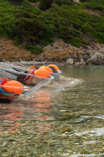 Golfo Aranci: traditional or transparent kayaks, dolphins, and aperitifs - Dolphins: The Best Approach Is Expectation-Management