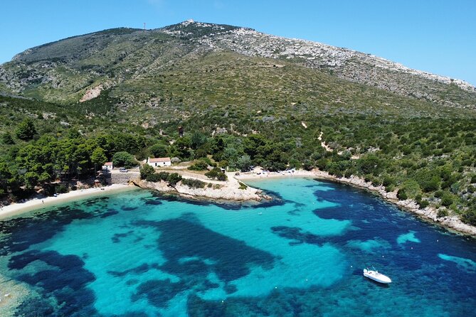 Golfo di Olbia and Dolphins Island Private Boat Tour - Quick hits before you go