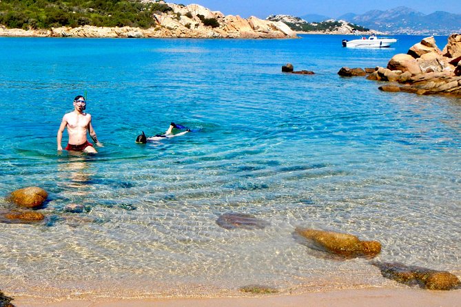 Golfo di Olbia and Dolphins Island Private Boat Tour - Swimming and snorkeling: clear water time, not rushed stops