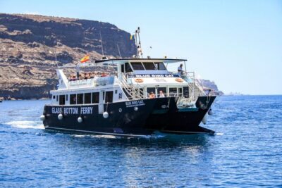 Gran Canaria: Catamaran Dolphin Watch Cruise with Snorkeling - What happens on the catamaran: deck watching plus glass-panel viewing