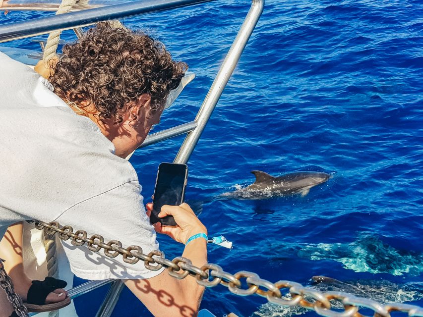 Gran Canaria: Catamaran Dolphin Watch Cruise with Snorkeling - Who this cruise suits best (and who should skip it)