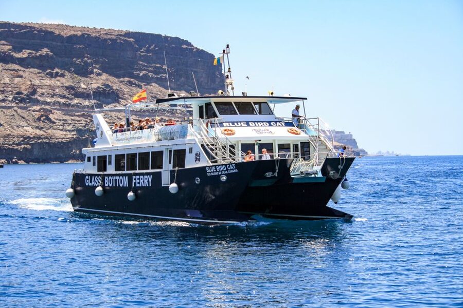 Gran Canaria: Catamaran Dolphin Watch Cruise with Snorkeling - What happens on the catamaran: deck watching plus glass-panel viewing