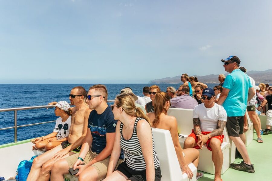 Gran Canaria: Dolphin and Whale Watching Cruise - Price and value: is $42 a fair deal for Gran Canaria wildlife time?