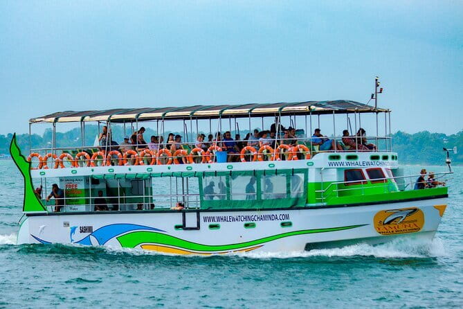 Great Whales Education Programe Dolphins and Whales are in SL - Souvenirs you can grab without derailing your day
