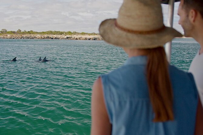 Guided Dolphin Eco-Cruise in Koombana Bay - Key highlights you’ll care about