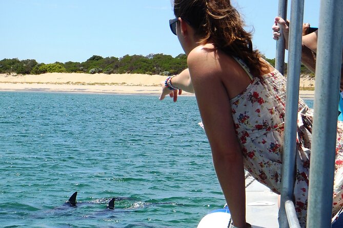 Guided Dolphin Eco-Cruise in Koombana Bay - The boat setup: 300-degree views and an easy, dry ride