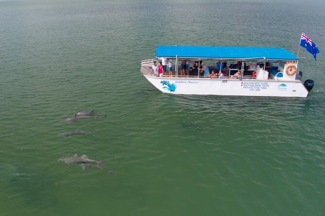 Guided Dolphin Eco-Cruise in Koombana Bay - The guarantee: free return if you miss dolphins