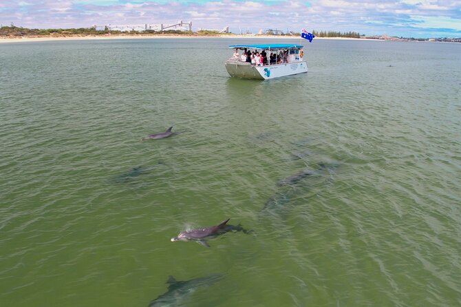 Guided Dolphin Eco-Cruise in Koombana Bay - Getting to Dolphin Discovery Centre and settling in