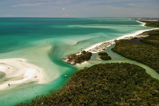 Guided Dolphin Eco Tour by Kayak & SUP - Fort Myers Beach, FL - The 2.5-Hour Flow: What Your Day Looks Like on the Water