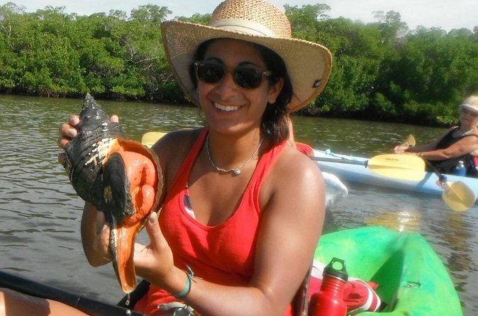 Guided Dolphin Eco Tour by Kayak & SUP - Fort Myers Beach, FL - The West-Side Shelling Beach: Why You’re Guided Here