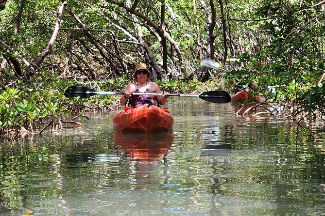 Guided Dolphin Eco Tour by Kayak & SUP - Fort Myers Beach, FL - Mangrove Tunnels and Wildlife Spotting (This Is the Main Event)