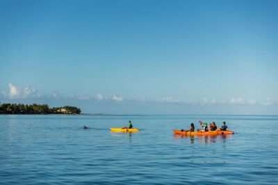 Guided Kayak 2-Hour Activity with Dolphins - Responsible Dolphin Watching: What the Guide Is Really For