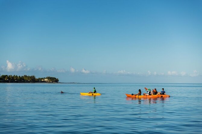 Guided Kayak 2-Hour Activity with Dolphins - Responsible Dolphin Watching: What the Guide Is Really For