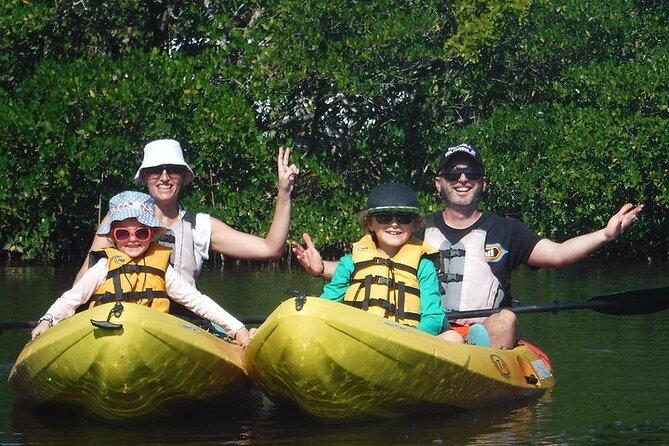 Guided Kayak Dolphin Eco Tour in Pelican Bay - Quick Key Points