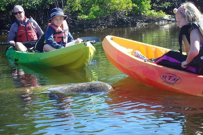 Guided Kayak Dolphin Eco Tour in Pelican Bay - Guides Make It Real: Jay, Ty, Sky, Mike, and Jessica