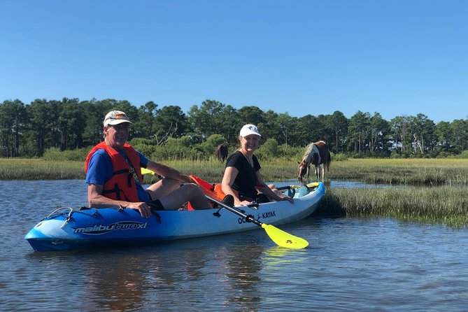 Guided Kayak Tour to see ponies, birds, dolphins and more - Kayaking Chincoteague’s coastal channels: what the morning feels like