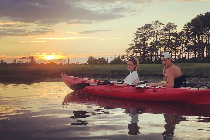 Guided Kayak Tour to see ponies, birds, dolphins and more - Paddling reality check: fitness level, effort, and comfort